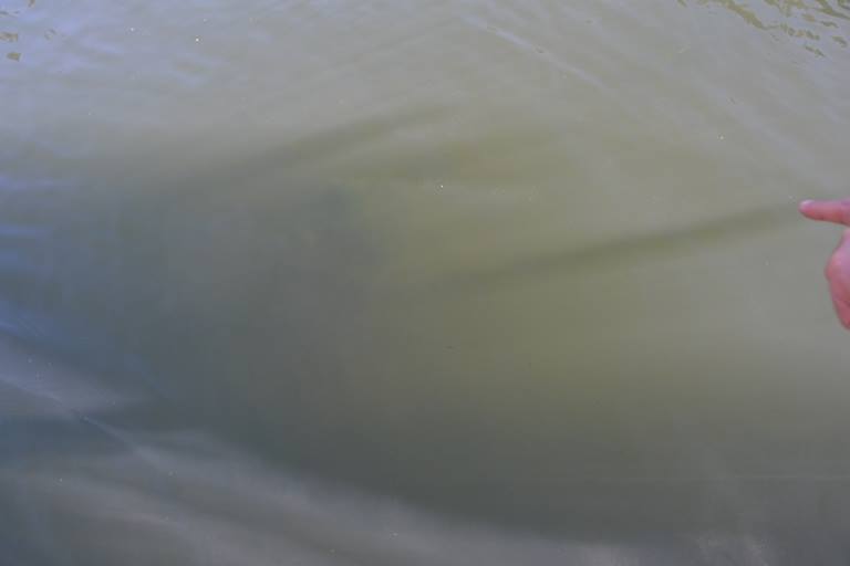 /data/blog/90635/ea6e33600f7180bfd16eb40869291945.jpg