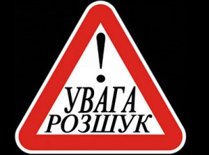 /data/blog/95499/fd82852b6b86e4889d4930bd7e78f4b1.jpg