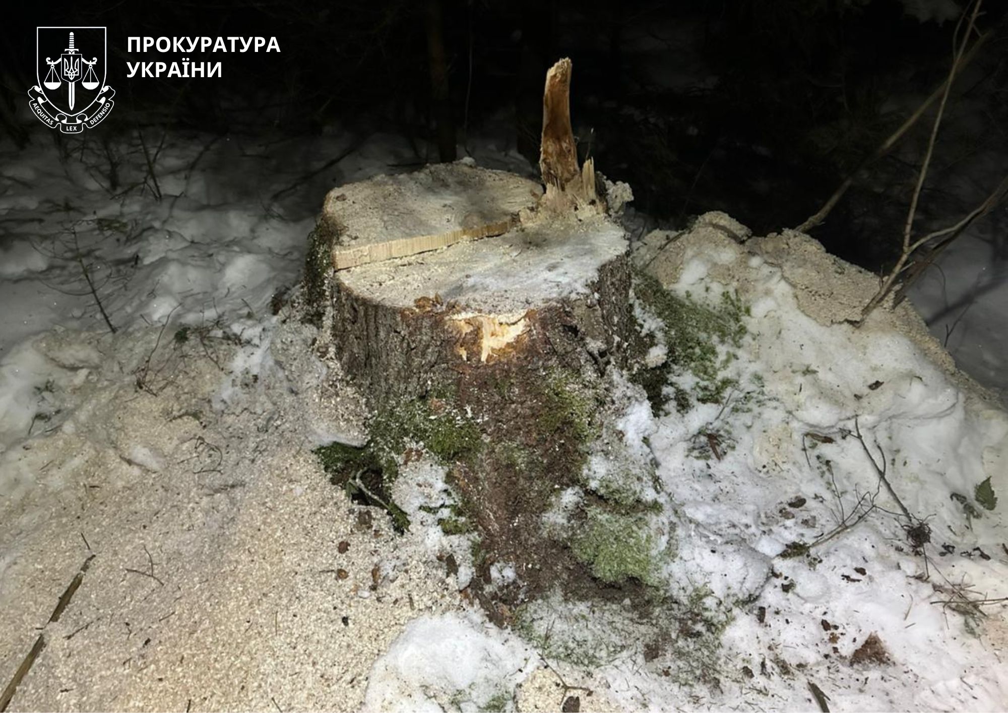 фото: прокуратура