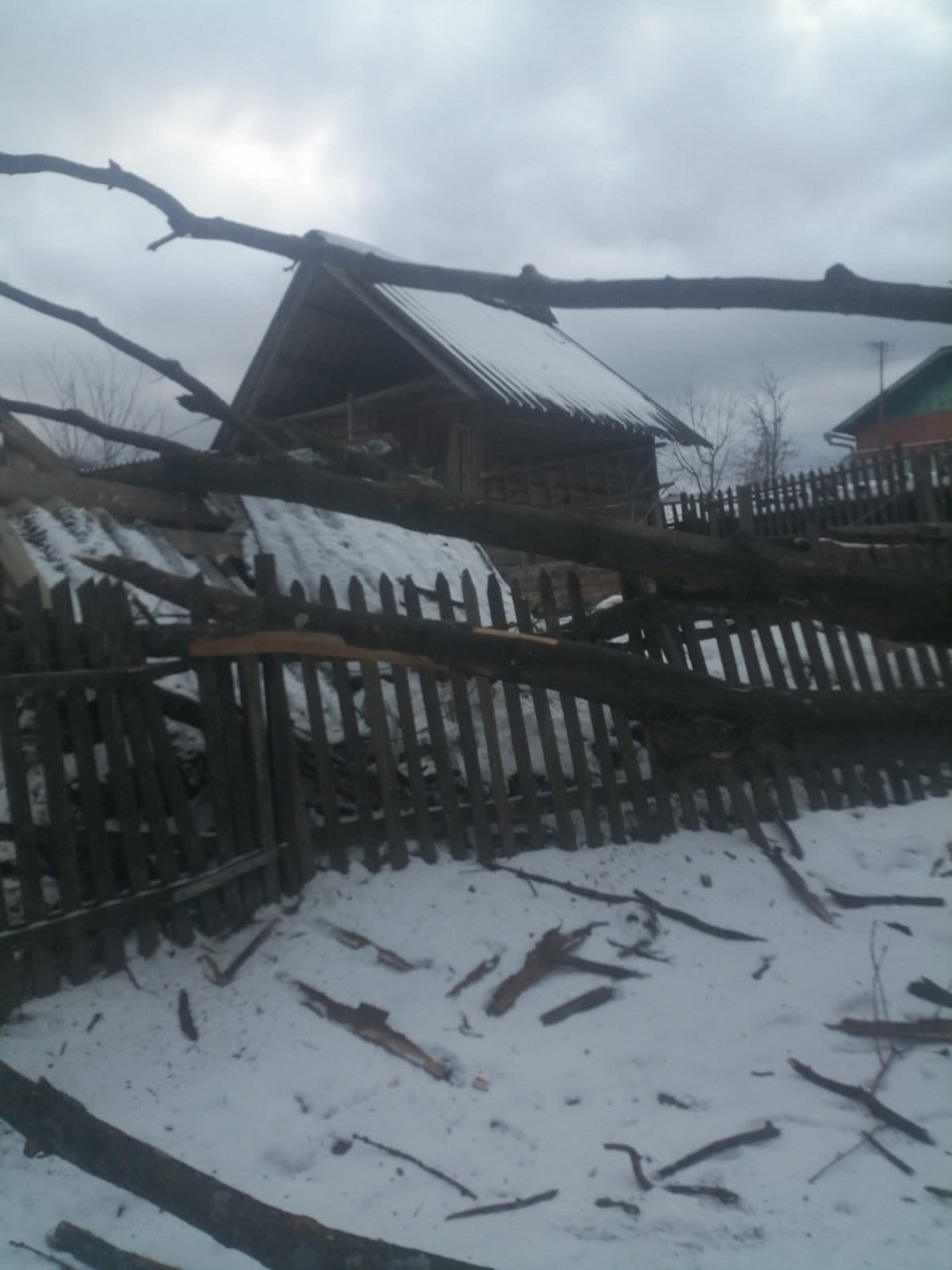 фото наслідків негоди