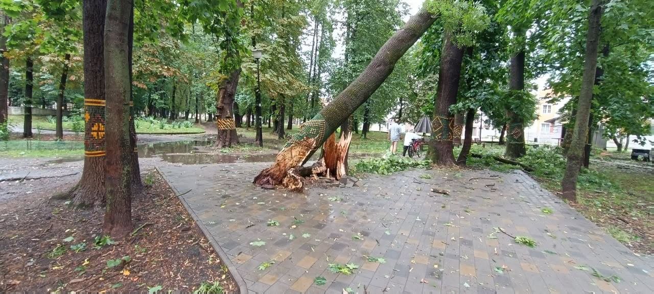 фото наслідків негоди