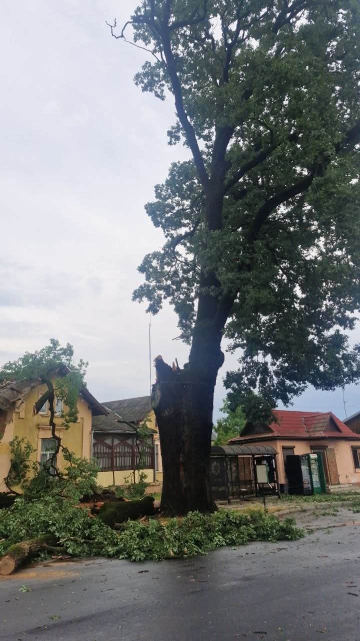 фото наслідків негоди