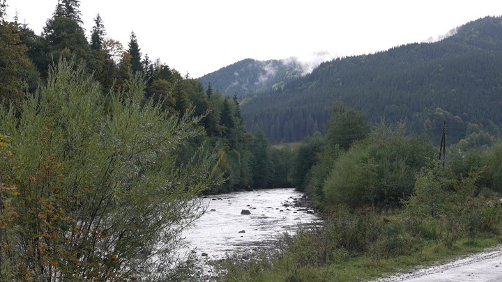 фото з села Зелене