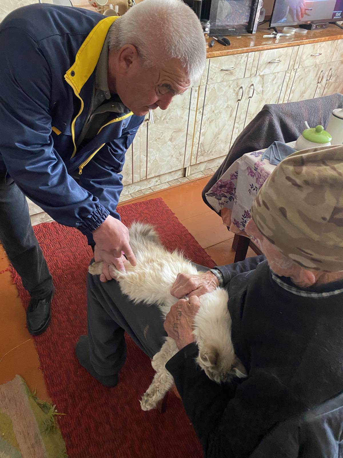 Вакцинація тварин