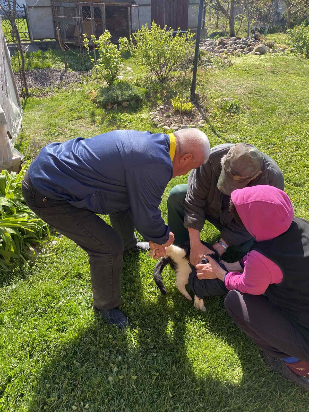 Вакцинація тварин